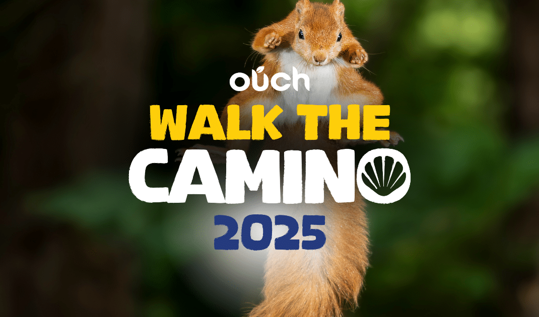 A photo showing Dorset wildlife that will be helped by the Camino campaign.